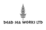 לוגו חברת ים המלח